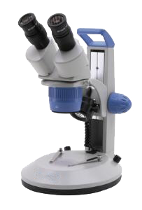 Dissection microscope